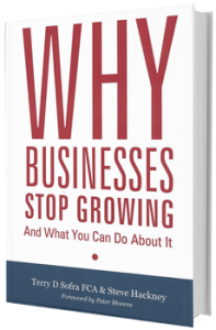 Why Businesses Stop Growing